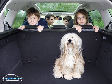 Peugeot 207 SW - Viel Platz für Kind und Hund.