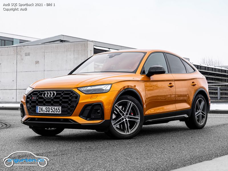 Neuer Audi SQ5: Ein letztes Mal V6?