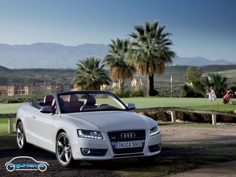 Audi A5 Cabrio - Summer Feeling vor Palmen