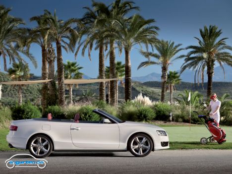 Audi A5 Cabrio - Summer Feeling vor Palmen