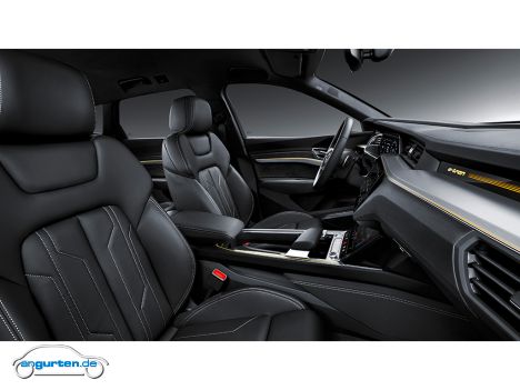 Audi e-tron 2019 - Bild 13