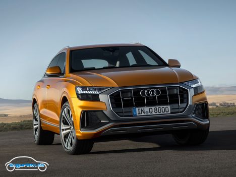 Audi Q8 - Bild 10