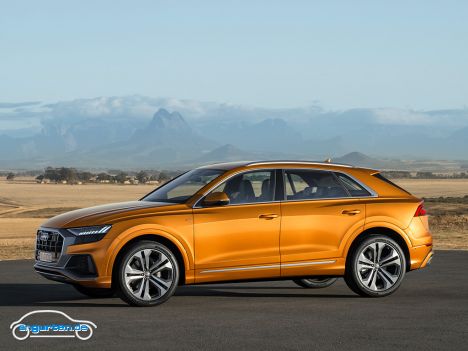 Audi Q8 - Bild 11