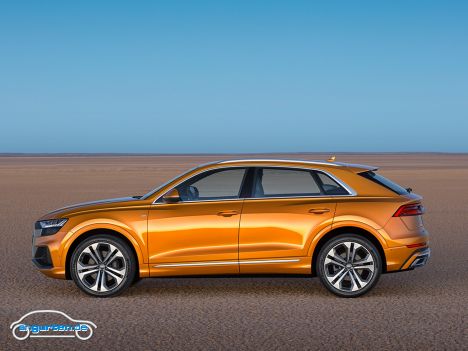 Audi Q8 - Bild 14