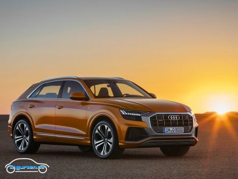 Audi Q8 - Bild 16