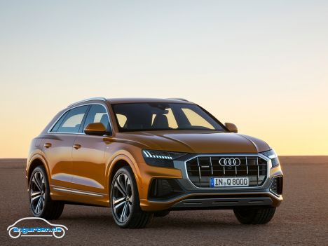 Audi Q8 - Bild 17