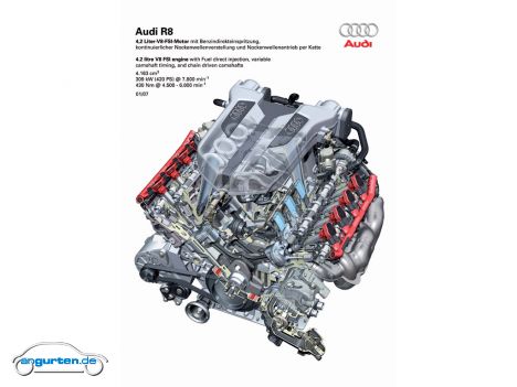 Audi R8 - 4.2 Liter V8 FSI Motor - Schnittzeichnung