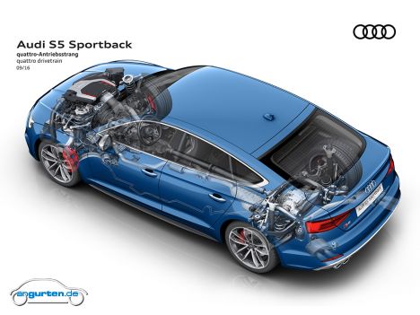 Audi S5 Sportback - Bild 12