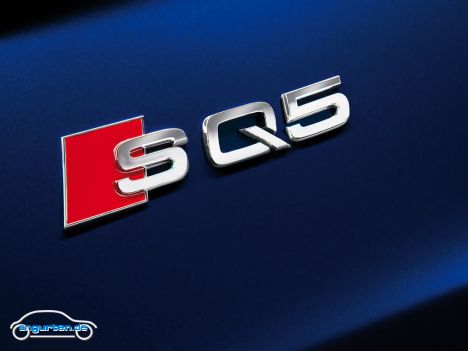 Audi SQ5 - Bild 8