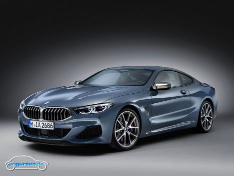 BMW 8er Coupe - Bild 26