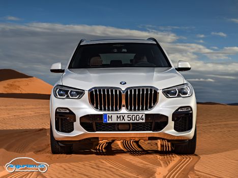 BMW X5 (G05) - Bild 1