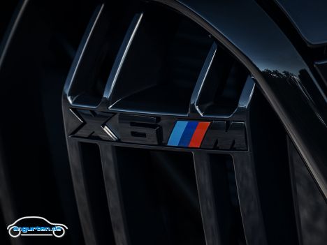 BMW X6 M (F96) - Details