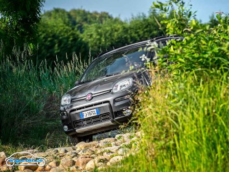 Fiat Panda 4x4 2017 - Bild 1