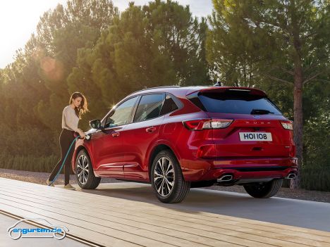 Der neue Ford Kuga III (2019) - Bild 2