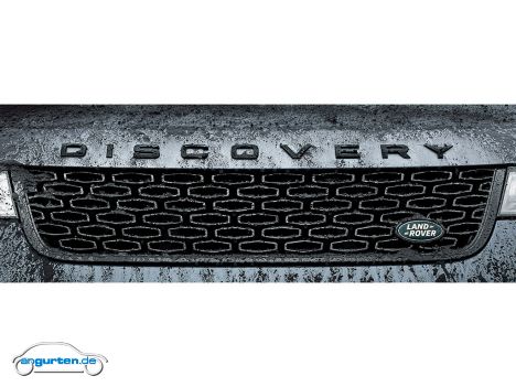 Land Rover Discovery SVX - Bild 18