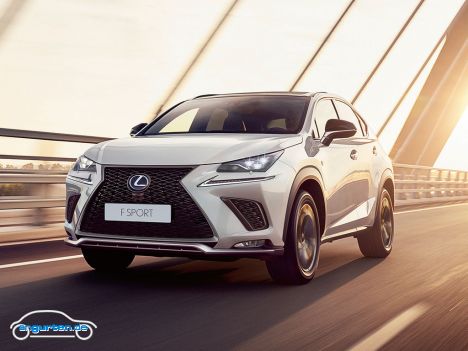 Lexus RX - Bild 14