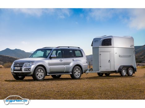 Mitsubishi Pajero 5-Türer - Bild 6