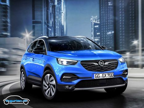 Opel Grandland X - Bild 8