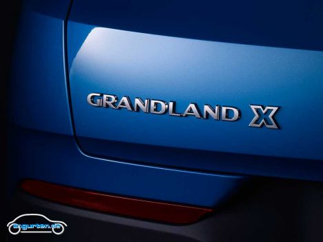 Opel Grandland X - Bild 11