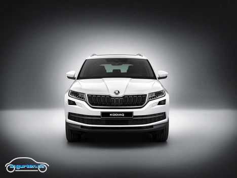 Skoda Kodiaq - Bild 2