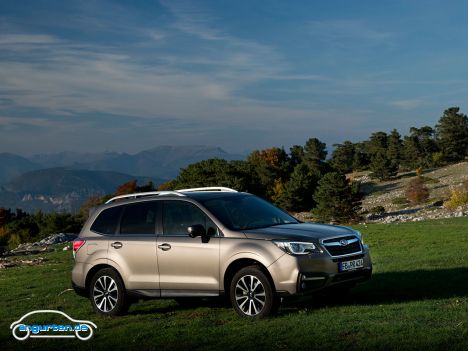 Subaru Forester IV (2018) - Bild 15