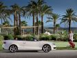 Audi A5 Cabrio - Summer Feeling vor Palmen