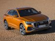 Audi Q8 - Bild 13