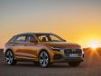 Audi Q8 - Bild 16