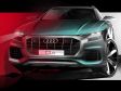 Audi Q8 - Bild 18