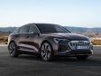 Audi Q8 Sportback e-tron 2023 - Frontansicht