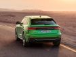 Audi RS Q8 - Bild 20