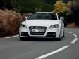 Audi TTS Roadster - Frontansicht