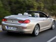 BMW 6er Cabrio - Heckansicht