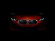 BMW X2 Concept - Bild 9