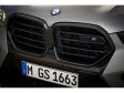 BMW X6 M (F96) Facelift 2023 - Kühlergrill