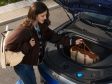 BYD Atto 3 evo (2027) - Vorderer Kofferraum (Frunk)
