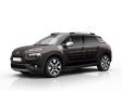 Citroen C4 Cactus Rip Curl - Bild 5