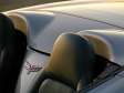 Corvette C6 Convertible - Überroll-Schutz