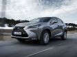 Lexus RX - Bild 19