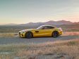 Mercedes AMT GT Coupe 2015 - Bild 13