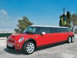 Mini XXL