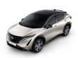 Nissan Ariya - Farbe: Warm Silver