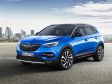 Opel Grandland X - Bild 1