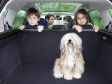 Peugeot 207 SW - Viel Platz für Kind und Hund.