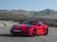 Porsche 718 Cayman - Bild 16