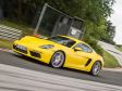 Porsche 718 Cayman - Bild 20