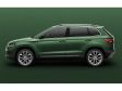 Skoda Karoq - Farbe: Emerald Grün