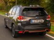 Subaru Forester 2023 (Edition Exclusive Cross) - Heckansicht