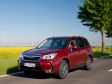 Subaru Forester IV (2015) - Bild 1