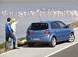 Heckansicht des VW Polo Modelljahr 2005